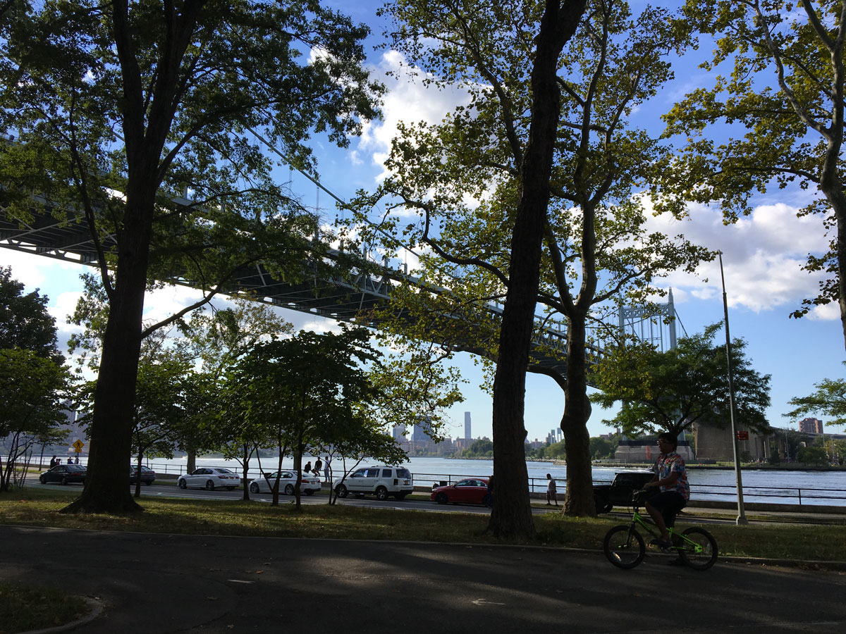 trip_park